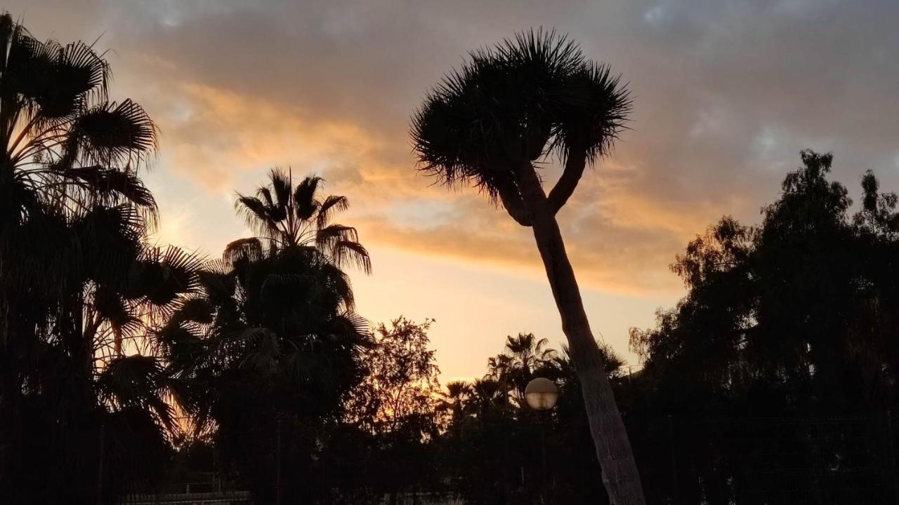 Paraiso Altemar, Duplex Las Americas بلايا ذي لاس أميريكاس المظهر الخارجي الصورة